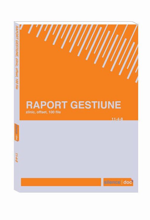 raport gestiune zilnic