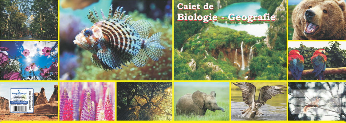 Caiet Geografie - Biologie 16 file
