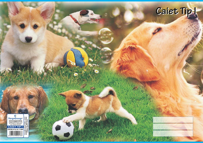 caiet tip 1