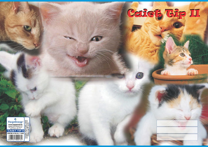 caiet tip 2