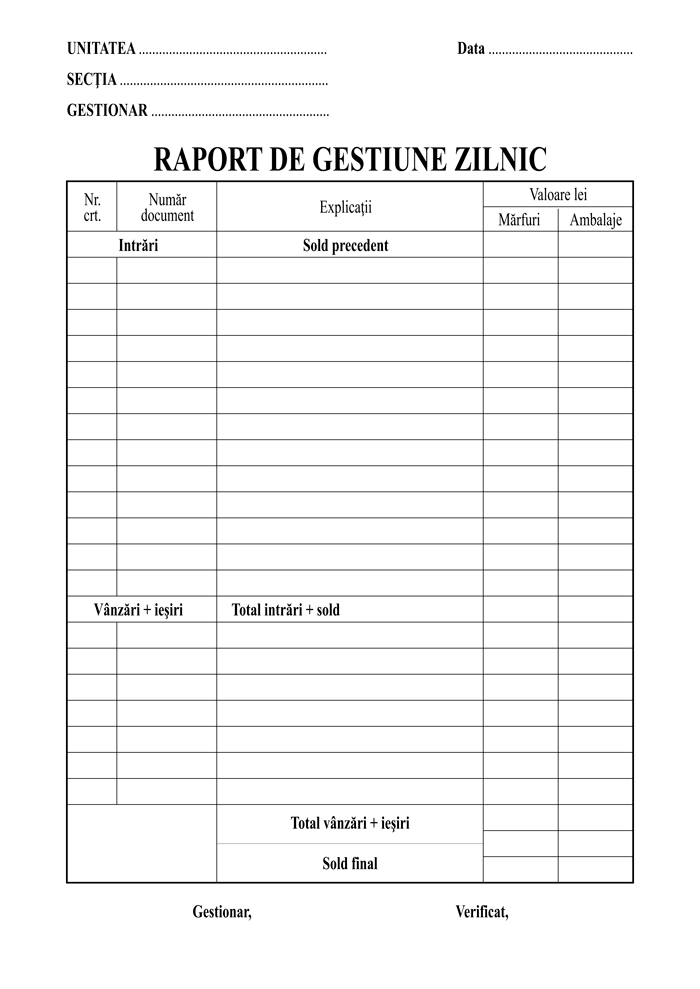 raport gestiune zilnic